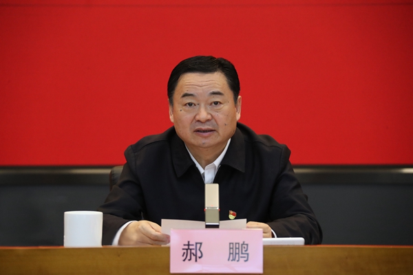 郝鹏、国资、央企、国资委、书记、主任、国企、企业改革